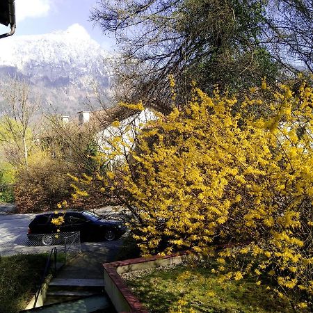 Ferienappartement Thumseestrasse Bad Reichenhall Exteriér fotografie
